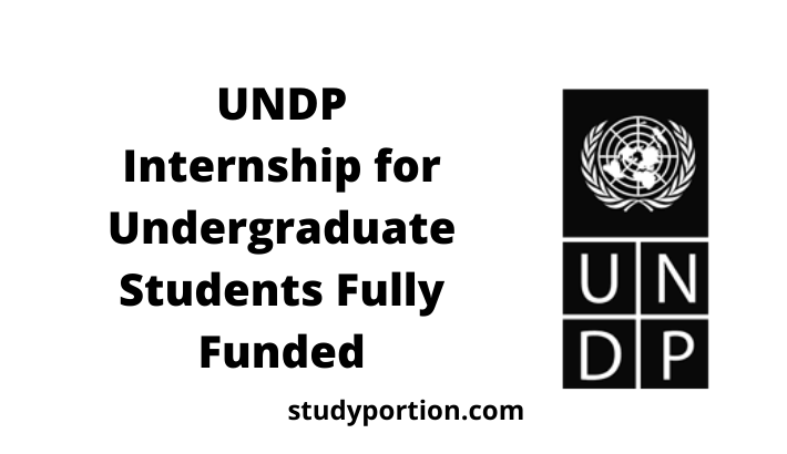 UNDP Internship For Undergraduate Students