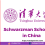 Schwarzman Scholarship in China
