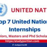 Top 7 United Nations Internships