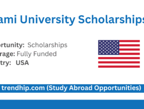 University of Miami Stamp Scholarship